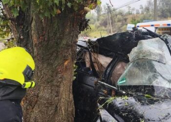 В Каушанском районе автомобиль врезался в дерево: в машине оказались заблокированы двое человек