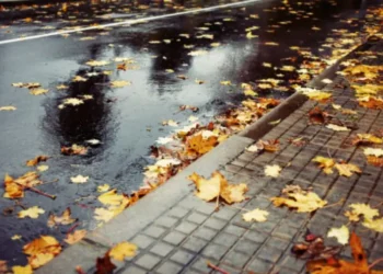 Сильные дожди и потепление: прогноз и предупреждение синоптиков