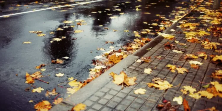 Сильные дожди и потепление: прогноз и предупреждение синоптиков