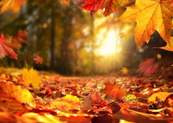 Погода в Молдове на 10 октября: передышка от дождей и лёгкое потепление