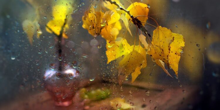 Осень вступает в свои права: в Молдове — прохлада, ветер и переменчивая погода