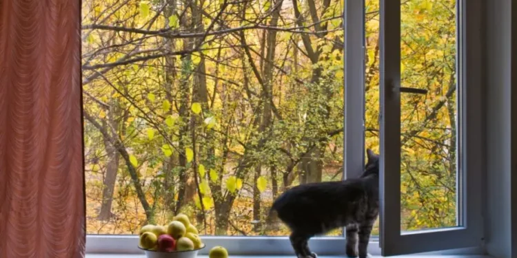 Включат ли отопление в октябре? Узнайте, какой будет погода в этом месяце