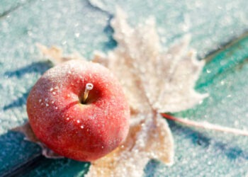 В Молдове ожидается похолодание и первые заморозки