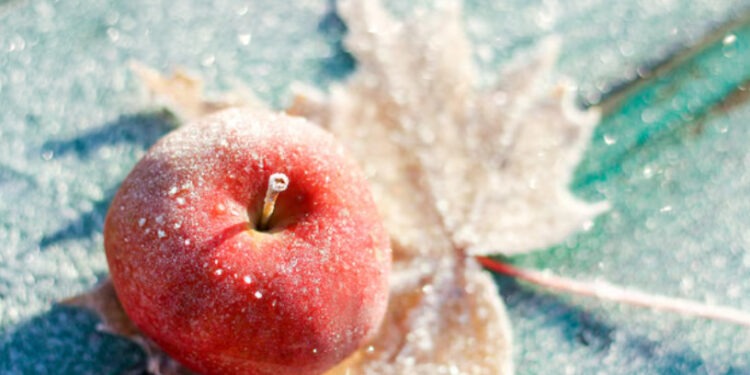 В Молдове ожидается похолодание и первые заморозки