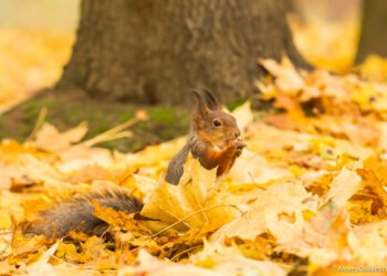 Погода в Молдове на 16 октября: без осадков и немного теплее