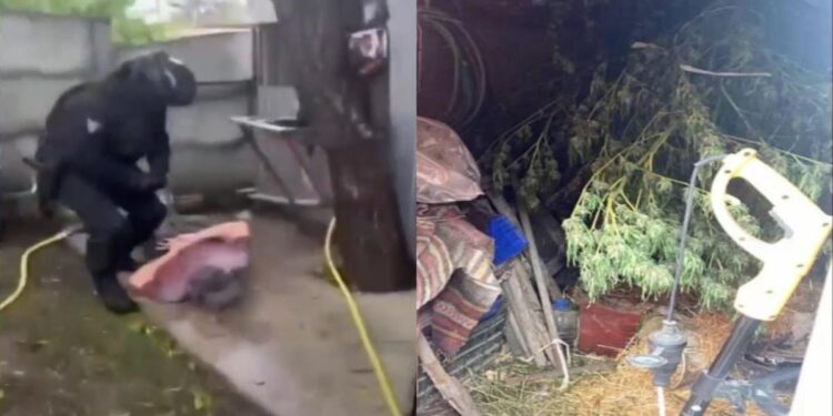 «Бизнес» трёх наркоторговцев сорван столичной полицией