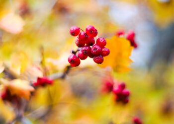 Погода на 17 октября: ясно, немного прохладно и без дождей