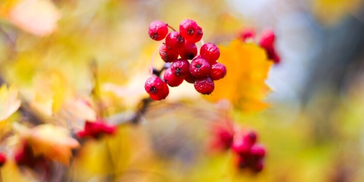 Погода на 17 октября: ясно, немного прохладно и без дождей