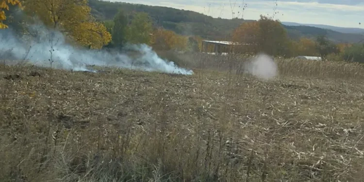 Două persoane din Orhei, amendate pentru încălcarea legislației de mediu