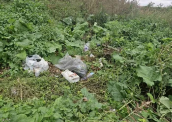 Edineț: 4 persoane, sancționate pentru depozitarea ilegală a deșeurilor