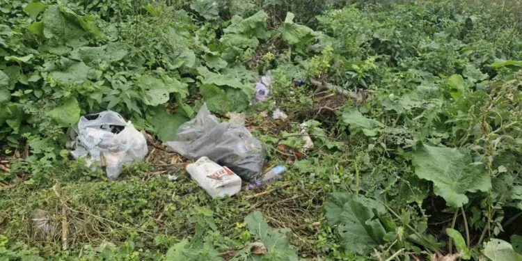 Edineț: 4 persoane, sancționate pentru depozitarea ilegală a deșeurilor