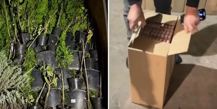 1,8 milioane de țigări de contrabandă descoperite la Lipcani