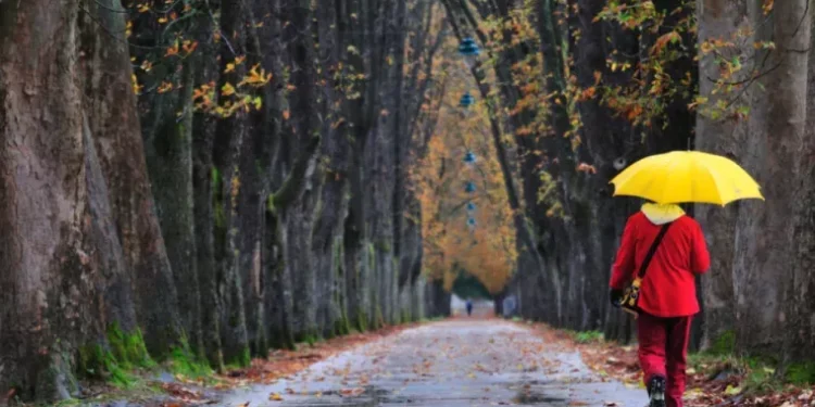 Cer variabil și temperaturi moderate în toată țara