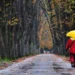 Cer variabil și temperaturi moderate în toată țara