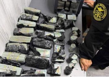 Bucovina: Vameșii au prins o femeie cu 970.000 $ ascunși în motorul mașinii