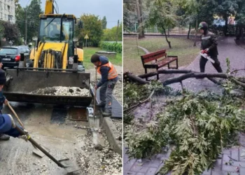 Последствия дождей в Кишиневе: поваленные деревья и сломанные ветви