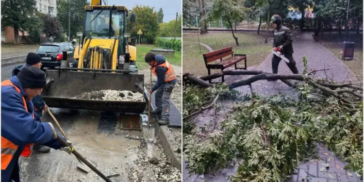 Последствия дождей в Кишиневе: поваленные деревья и сломанные ветви