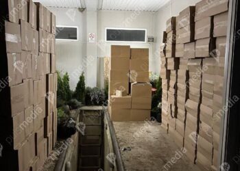 Contrabandă dejucată la Briceni: 100.000 de pachete de țigări descoperite în două microbuze