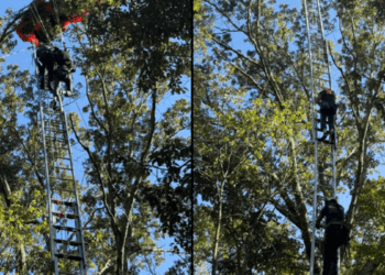 Tragedie la un salt cu parașuta: instructor mort, elev salvat dintr-un copac