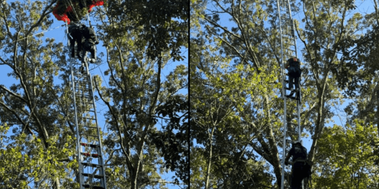 Tragedie la un salt cu parașuta: instructor mort, elev salvat dintr-un copac