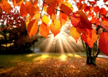 Weekend cu ploi slabe și cer noros, urmat de posibile înghețuri