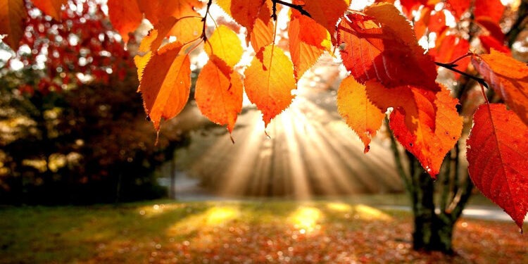 Weekend cu ploi slabe și cer noros, urmat de posibile înghețuri