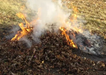 Amendă de 10.000 lei pentru arderea frunzelor la Lipcani