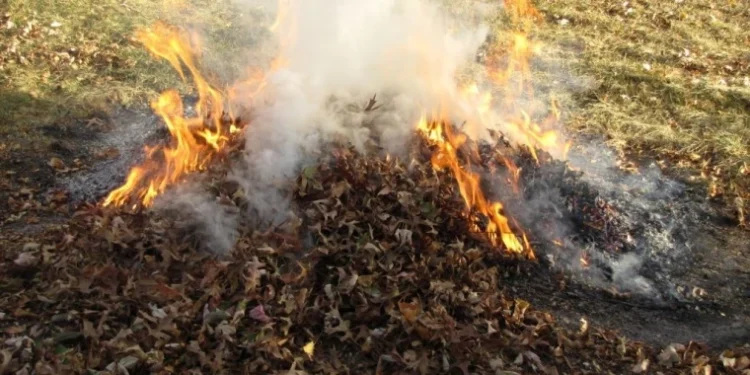 Amendă de 10.000 lei pentru arderea frunzelor la Lipcani