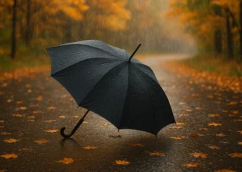 Zi mohorâtă cu ploi și vânt din nord-vest