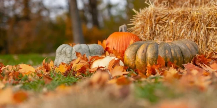 Cer variabil și temperaturi plăcute în toată țara