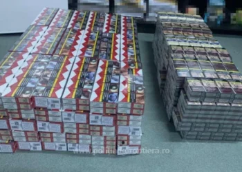 Vamalul a destructurat o rețea de contrabandă și trei fabrici clandestine de țigarete