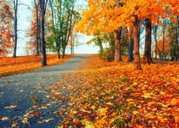 Vreme variabilă și înghețuri ușoare în unele regiuni