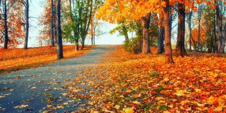 Vreme variabilă și înghețuri ușoare în unele regiuni