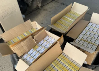 Попытка контрабанды на пограничном пункте «Скуляны» не удалась: где водитель спрятал нелегальный товар