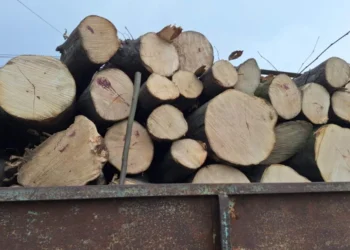 La Nisporeni, a fost stopat un microbuz care transporta ilegal lemne