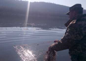 Razii antibraconaj pe Nistru: Trei pescari sancționați