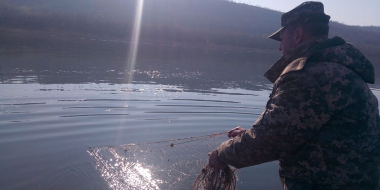 Razii antibraconaj pe Nistru: Trei pescari sancționați