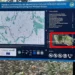 Înșelătorie descoperită la Bălți: trei suspecți prinși cu schema „Ruda implicată în accident”