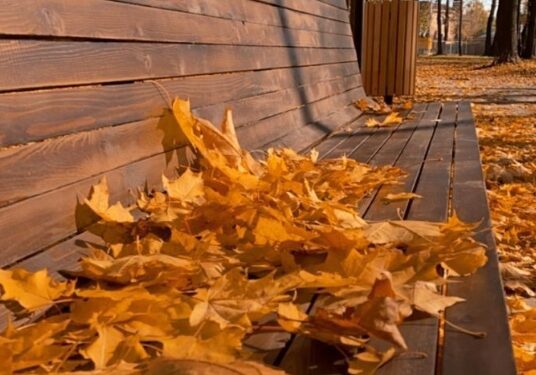 Prognoza meteo pentru 19 octombrie