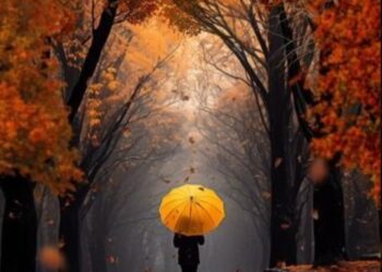 Prognoza meteo pentru 12 octombrie