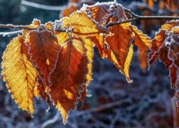 Cod galben de înghețuri emis pentru întreaga țară