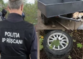 Română: „Adolescent din Rîșcani, bănuit de furturi de roți și accesorii auto”