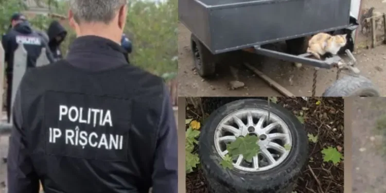Română: „Adolescent din Rîșcani, bănuit de furturi de roți și accesorii auto”