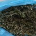 Prins la Cahul cu jumătate de kilogram de marijuana: bărbat cercetat penal