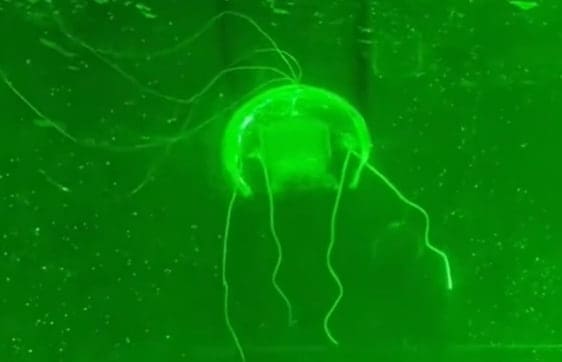 China a creat un robot-meduza pentru cercetarea oceanului