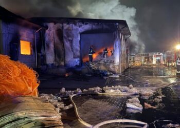 Incendiu lichidat după 20 de ore de luptă cu focul