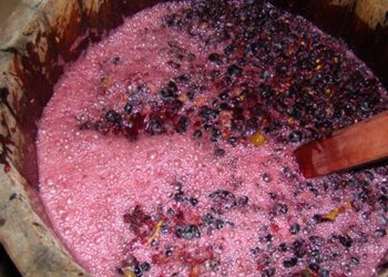 Tragedie în Gâsca: pensionar decedat într-un beci