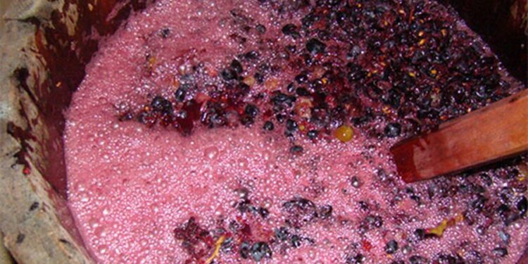 Tragedie în Gâsca: pensionar decedat într-un beci