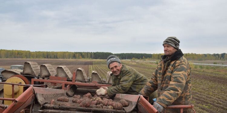 Более 18 000 человек трудоустроены через ANOFM с начала года
