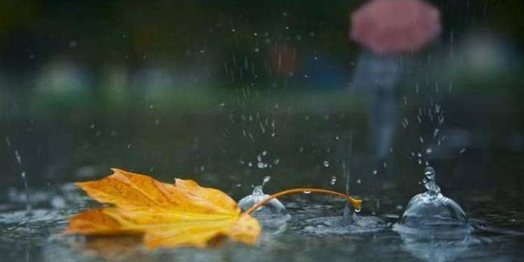 Zi mohorâtă și ploi slabe în toată țara